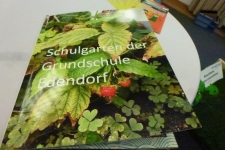 P1120248