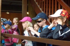 Hagenbeck-009
