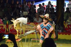 222014-mitmachzirkus