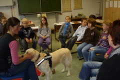 2012-projektewoche16