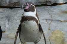 P1120938