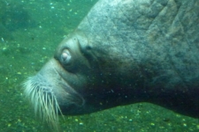 P1120969